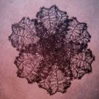 Bridge to the Clouds